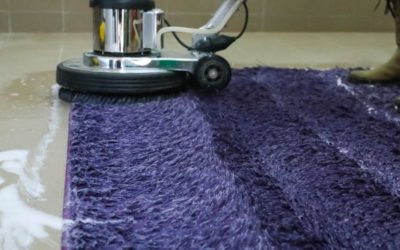 Looking for a professional friendly Carpet cleaning technician