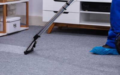 Professional vs. DIY Carpet Cleaning